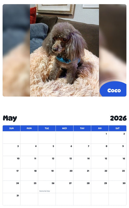 2026 - 2027 Coco - Pawidols Pet Calendar