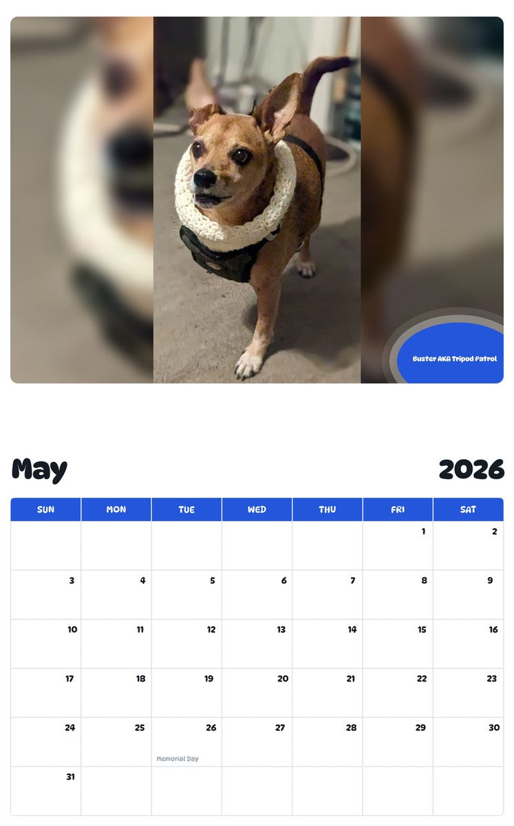 2026 - 2027 Buster AKA Tripod Patrol - Pawidols Pet Calendar