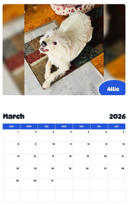 November 2025 - October 2026 Allie - Pawidols Pet Calendar