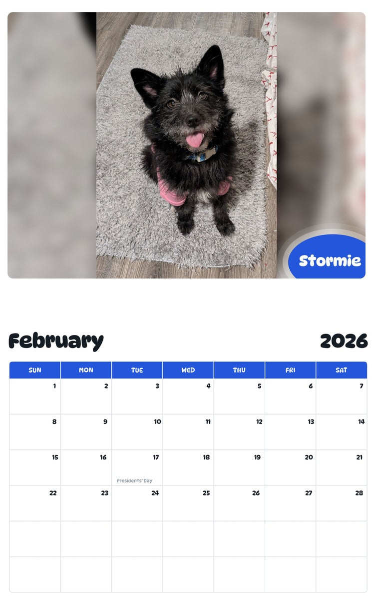 October 2025 - September 2026 Stormie - Pawidols Pet Calendar
