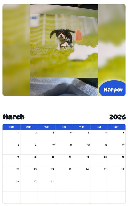 November 2025 - October 2026 Harper - Pawidols Pet Calendar