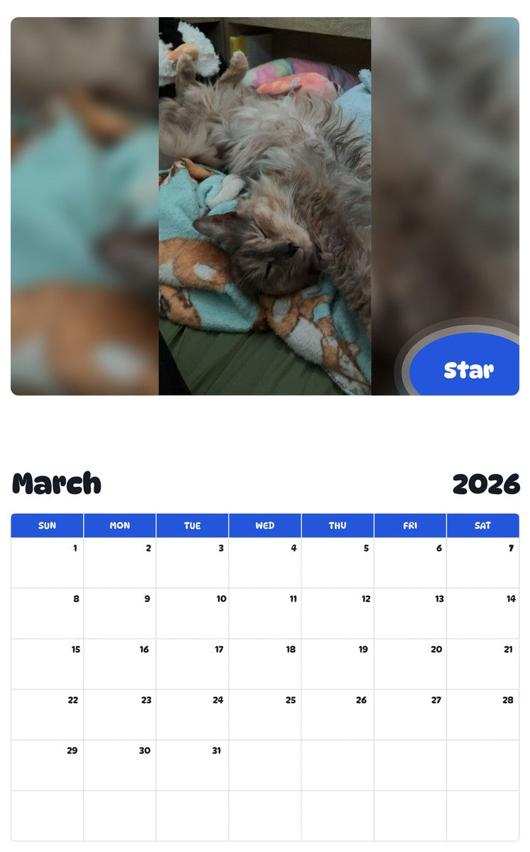 November 2025 - October 2026 Star - Pawidols Pet Calendar