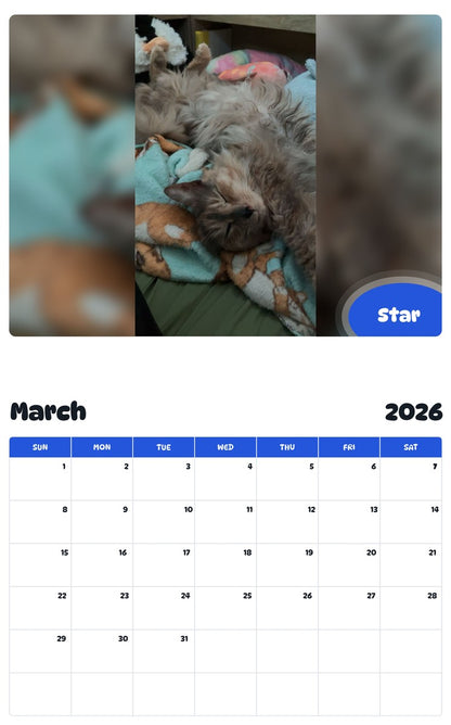 November 2025 - October 2026 Star - Pawidols Pet Calendar
