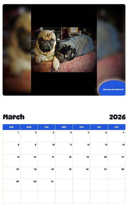 November 2025 - October 2026 Cherokee and China bell - Pawidols Pet Calendar
