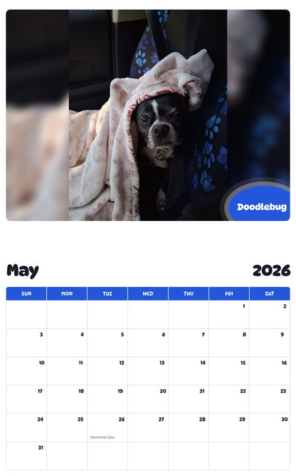 2026 - 2027 Doodlebug - Pawidols Pet Calendar