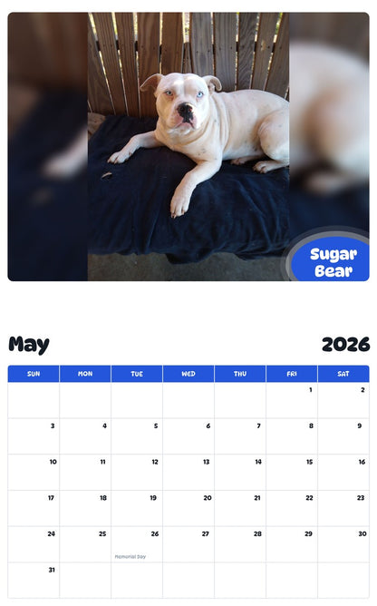 2026 - 2027 Sugar Bear - Pawidols Pet Calendar