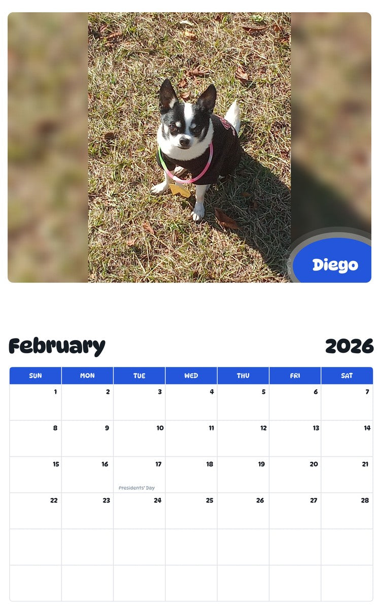October 2025 - September 2026 Diego - Pawidols Pet Calendar