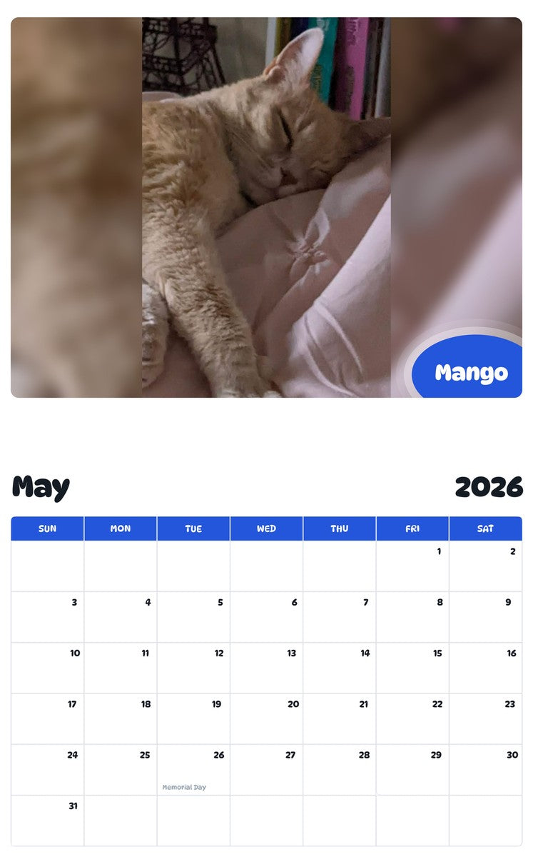 2026 - 2027 Mango - Pawidols Pet Calendar