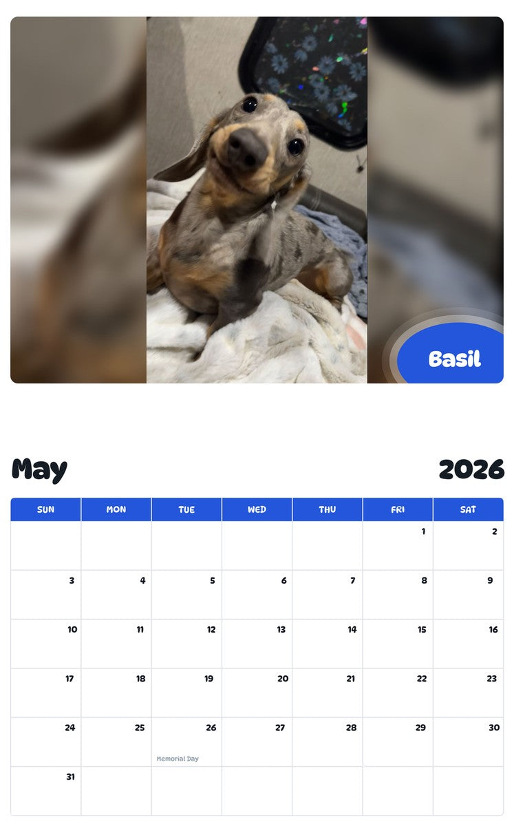 2026 - 2027 Basil - Pawidols Pet Calendar
