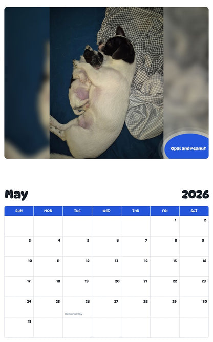 2026 - 2027 Opal and Peanut - Pawidols Pet Calendar