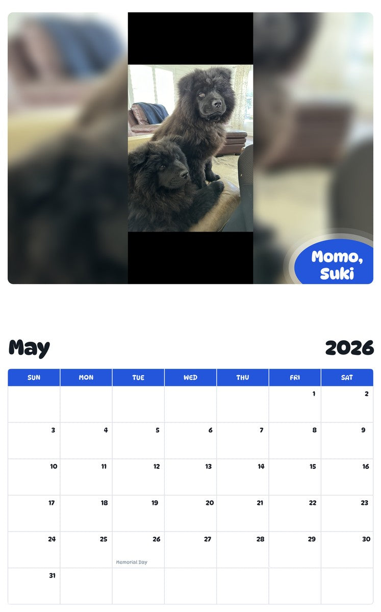 2026 - 2027 Momo, Suki - Pawidols Pet Calendar