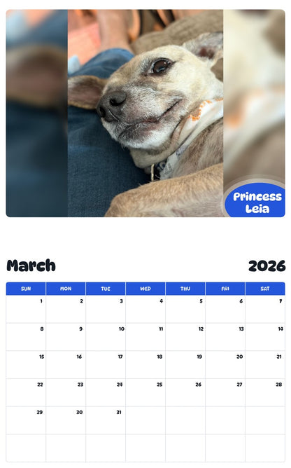 November 2025 - October 2026 Princess Leia - Pawidols Pet Calendar