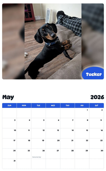 2026 - 2027 Tucker - Pawidols Pet Calendar