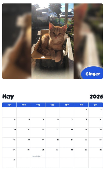 2026 - 2027 Ginger - Pawidols Pet Calendar