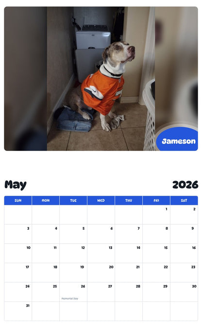 2026 - 2027 Jameson - Pawidols Pet Calendar