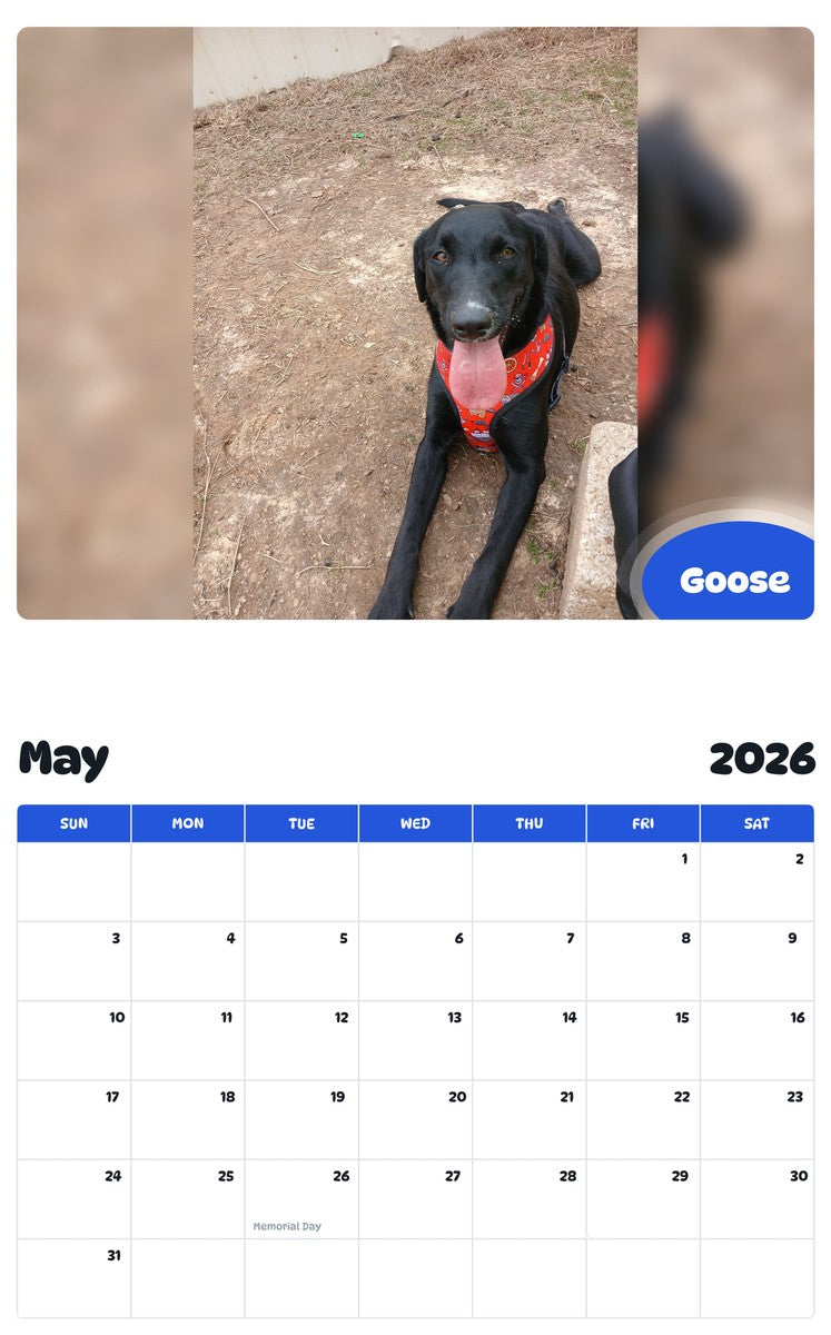 2026 - 2027 Goose - Pawidols Pet Calendar