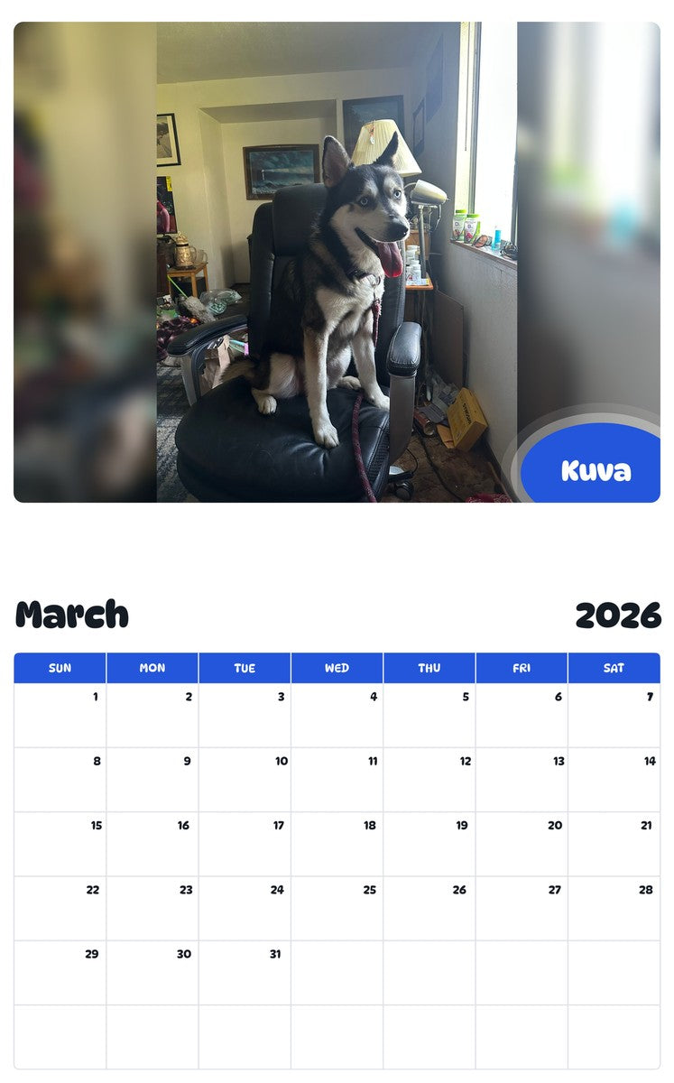 November 2025 - October 2026 Kuva - Pawidols Pet Calendar
