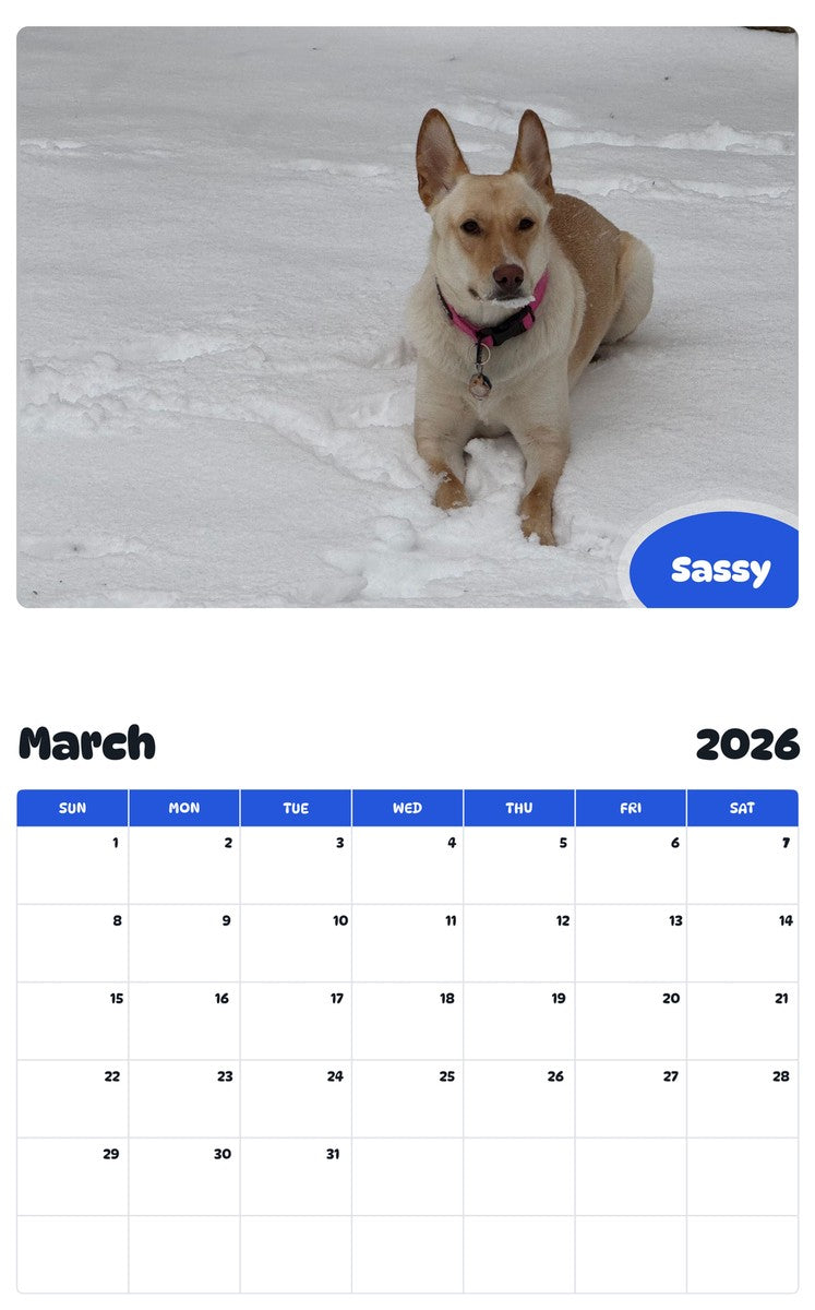 November 2025 - October 2026 Sassy - Pawidols Pet Calendar