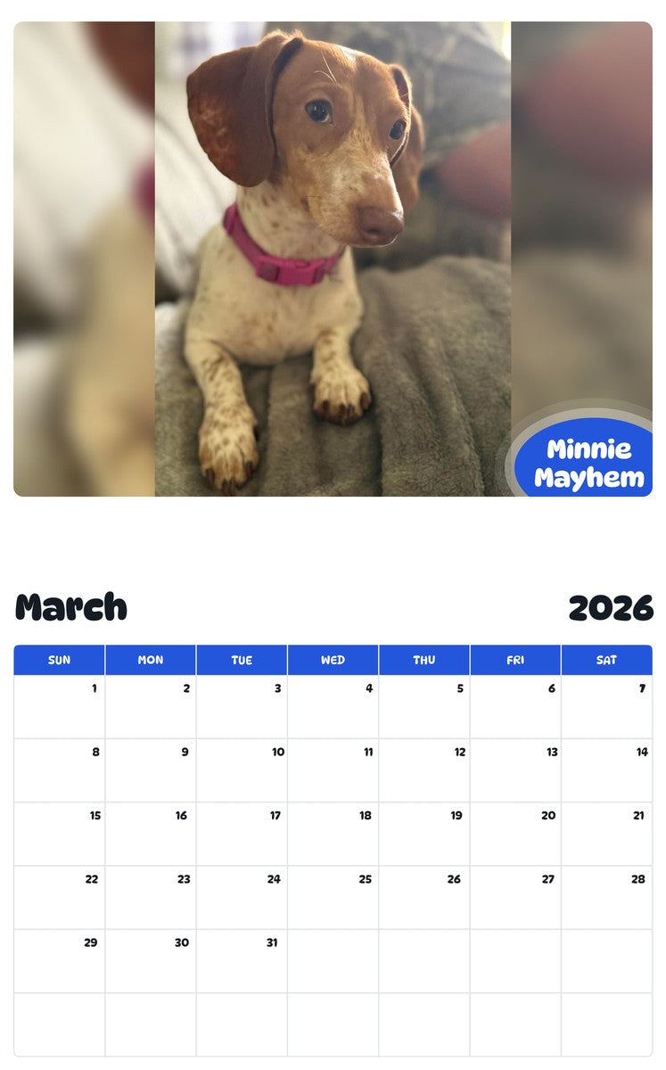 November 2025 - October 2026 Minnie Mayhem - Pawidols Pet Calendar