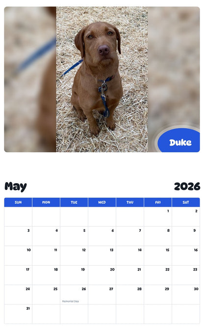 2026 - 2027 Duke - Pawidols Pet Calendar