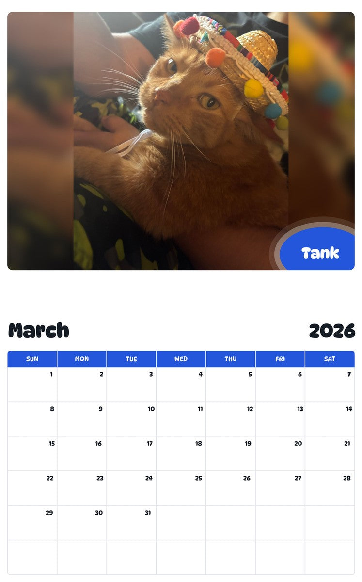 November 2025 - October 2026 Tank - Pawidols Pet Calendar