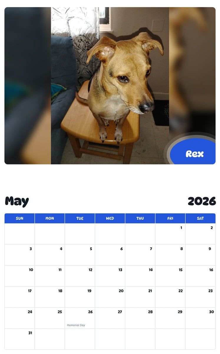 2026 - 2027 Rex - Pawidols Pet Calendar