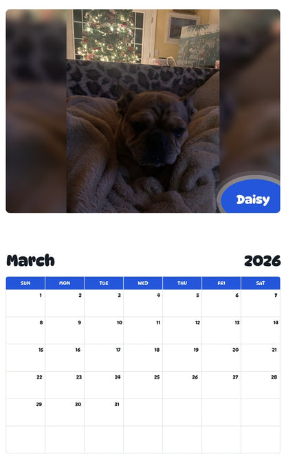 November 2025 - October 2026 Daisy - Pawidols Pet Calendar