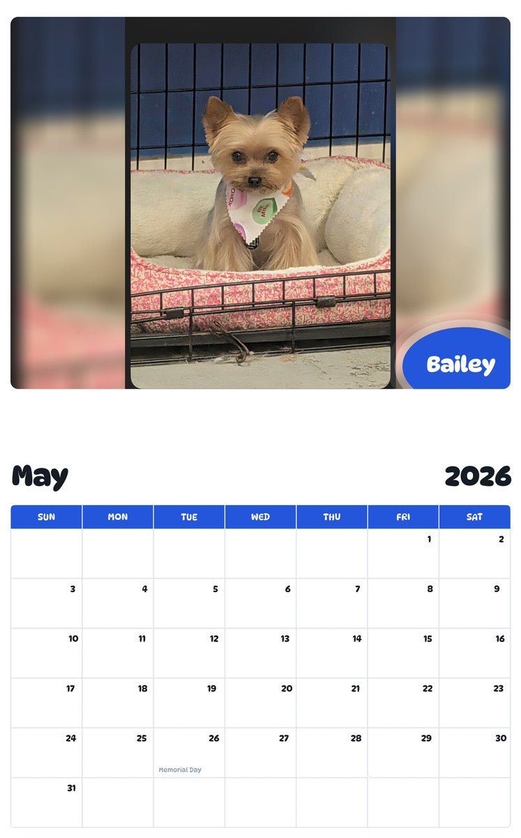 2026 - 2027 Bailey - Pawidols Pet Calendar