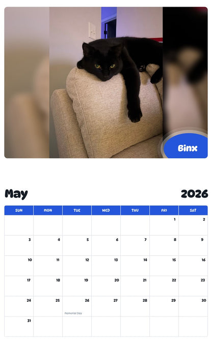 2026 - 2027 Binx - Pawidols Pet Calendar