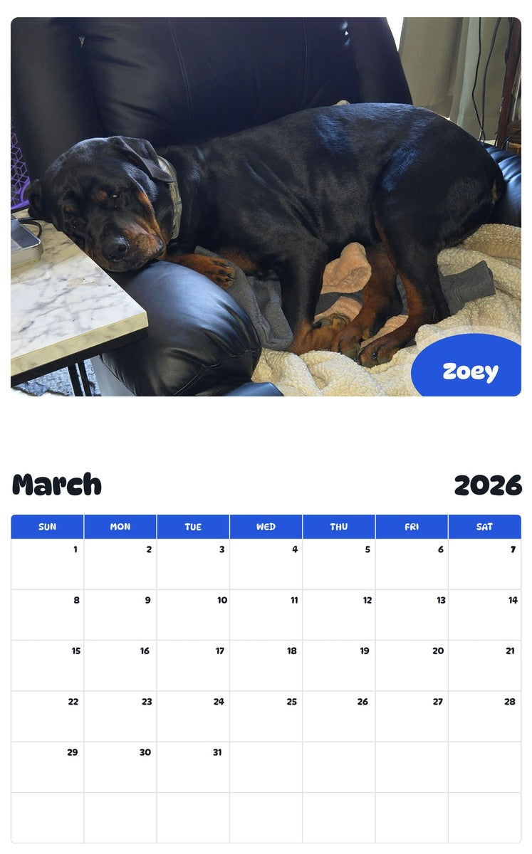 November 2025 - October 2026 Zoey - Pawidols Pet Calendar