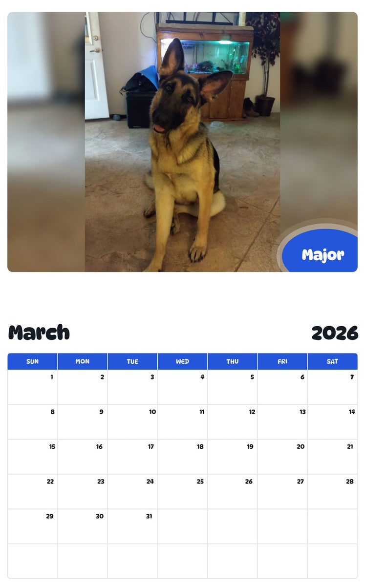 November 2025 - October 2026 Major - Pawidols Pet Calendar