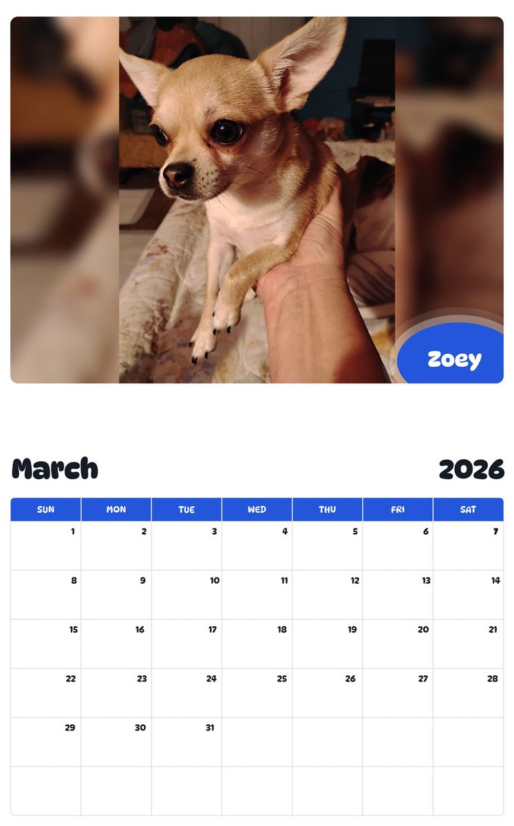 November 2025 - October 2026 Zoey - Pawidols Pet Calendar