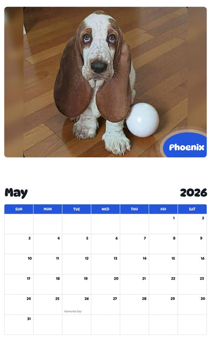 2026 - 2027 Phoenix - Pawidols Pet Calendar