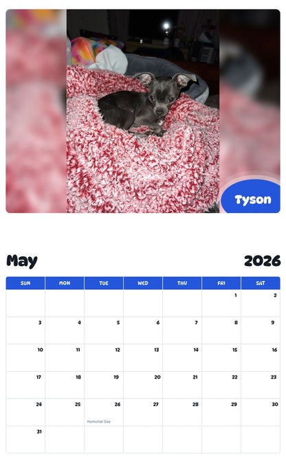 2026 - 2027 Tyson - Pawidols Pet Calendar