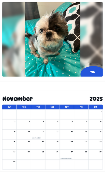 July 2025 - June 2026 Yin - Pawidols Pet Calendar