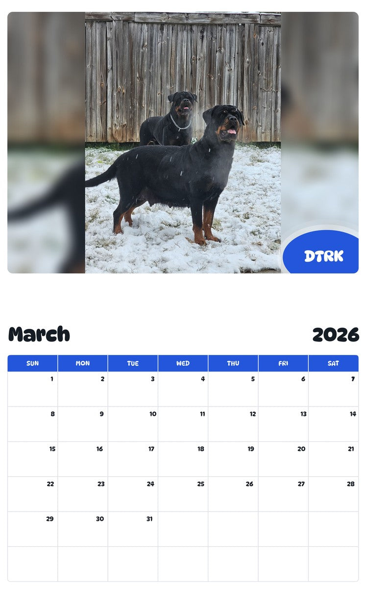 November 2025 - October 2026 DTRK - Pawidols Pet Calendar