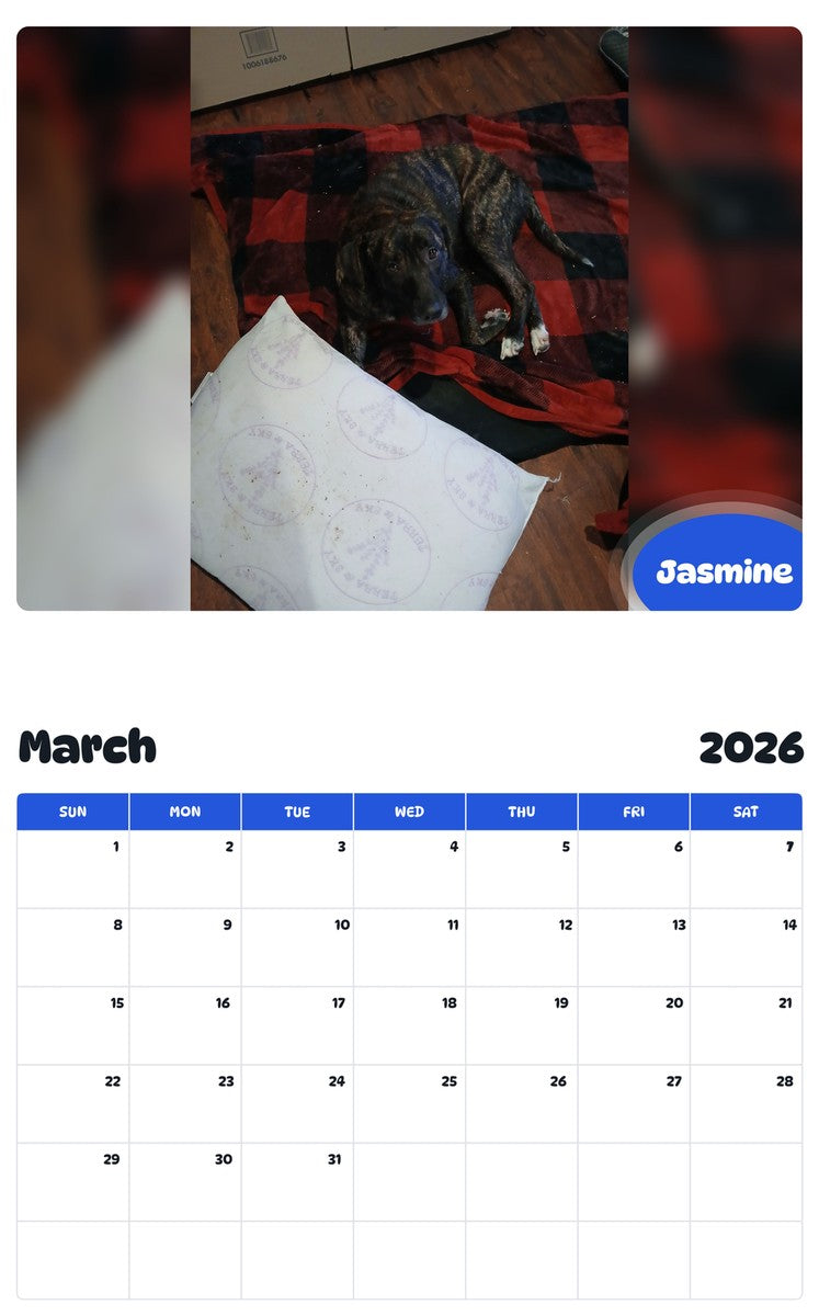 November 2025 - October 2026 Jasmine - Pawidols Pet Calendar