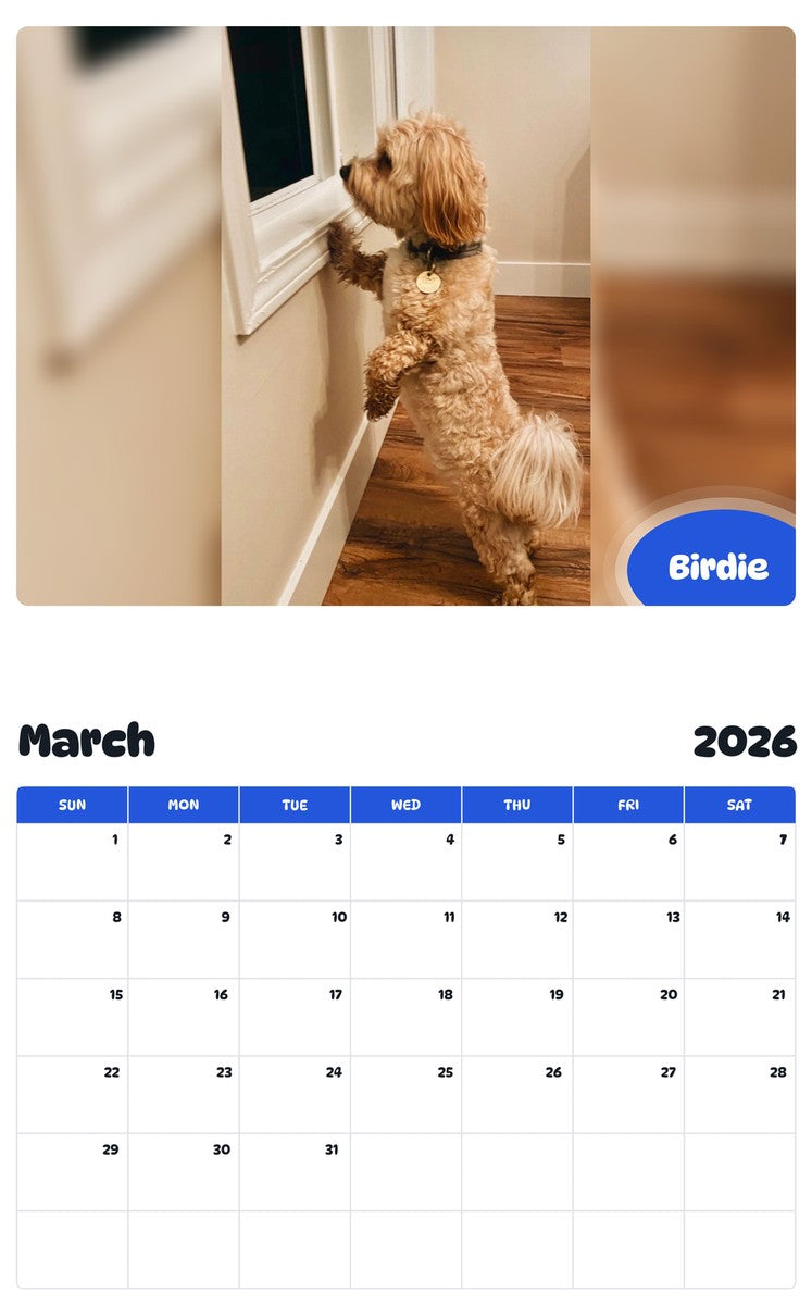 November 2025 - October 2026 Birdie - Pawidols Pet Calendar