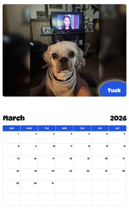 November 2025 - October 2026 Tuck - Pawidols Pet Calendar