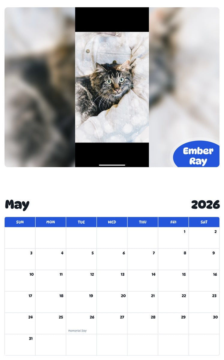 2026 - 2027 Ember Ray - Pawidols Pet Calendar