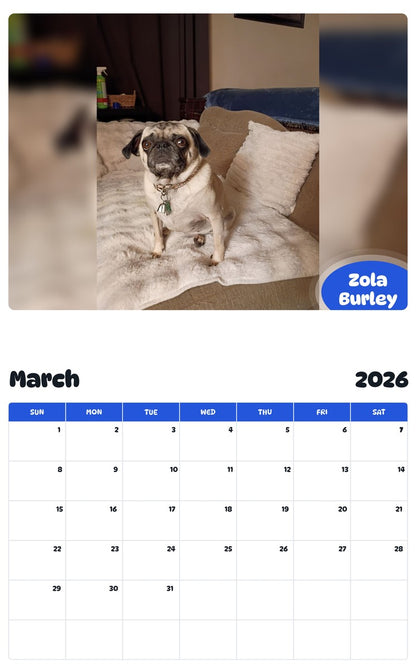 November 2025 - October 2026 Zola Burley - Pawidols Pet Calendar