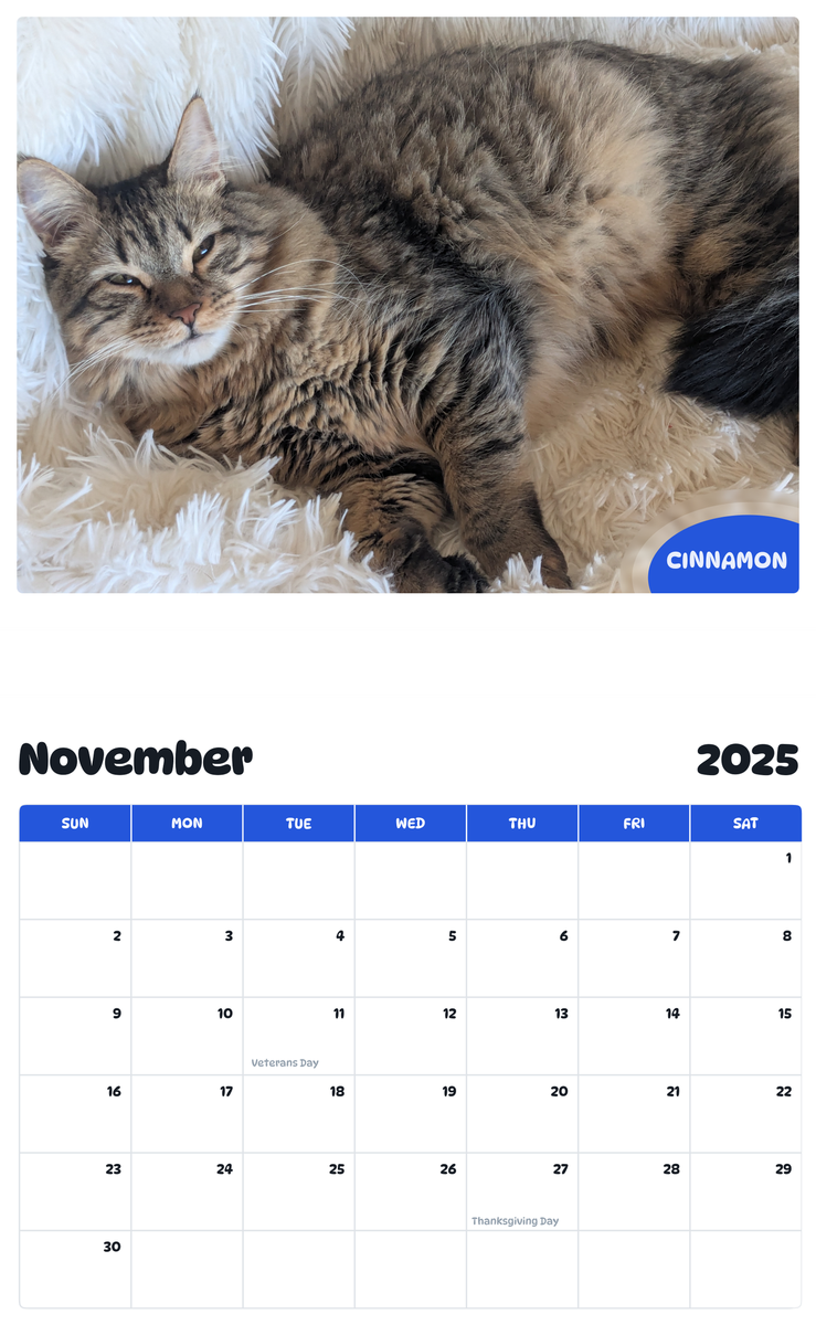 July 2025 - June 2026 Cinnamon - Pawidols Pet Calendar