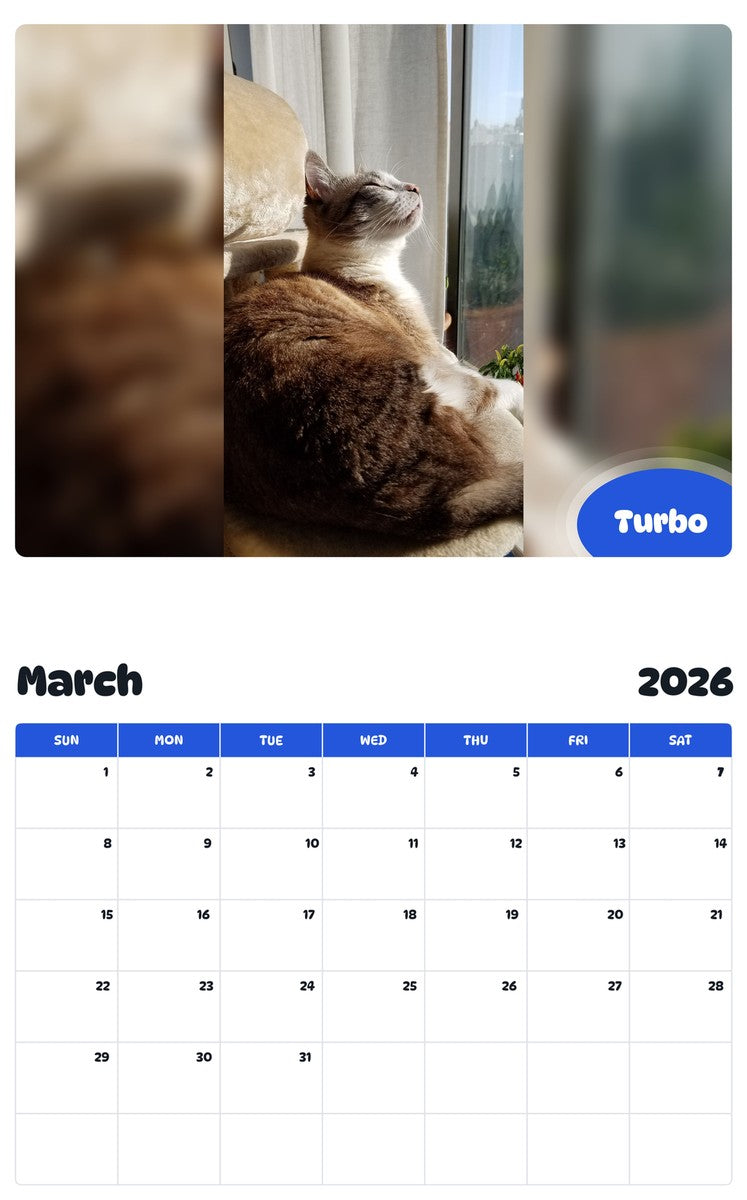 November 2025 - October 2026 Turbo - Pawidols Pet Calendar