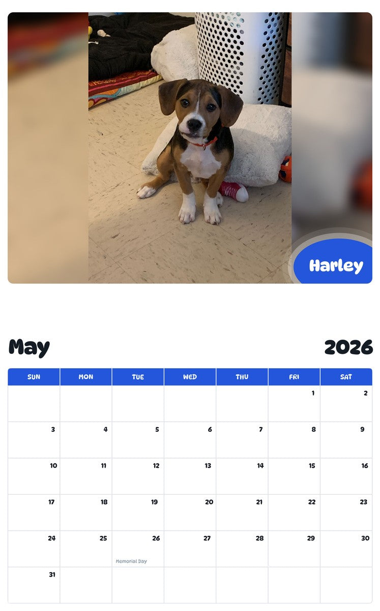2026 - 2027 Harley - Pawidols Pet Calendar
