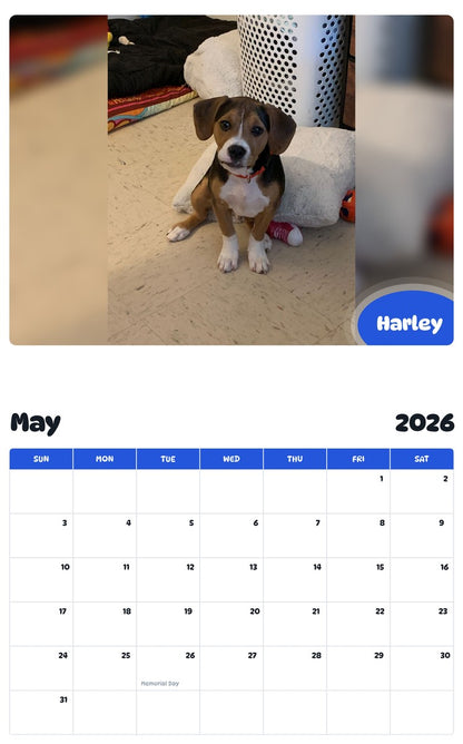 2026 - 2027 Harley - Pawidols Pet Calendar