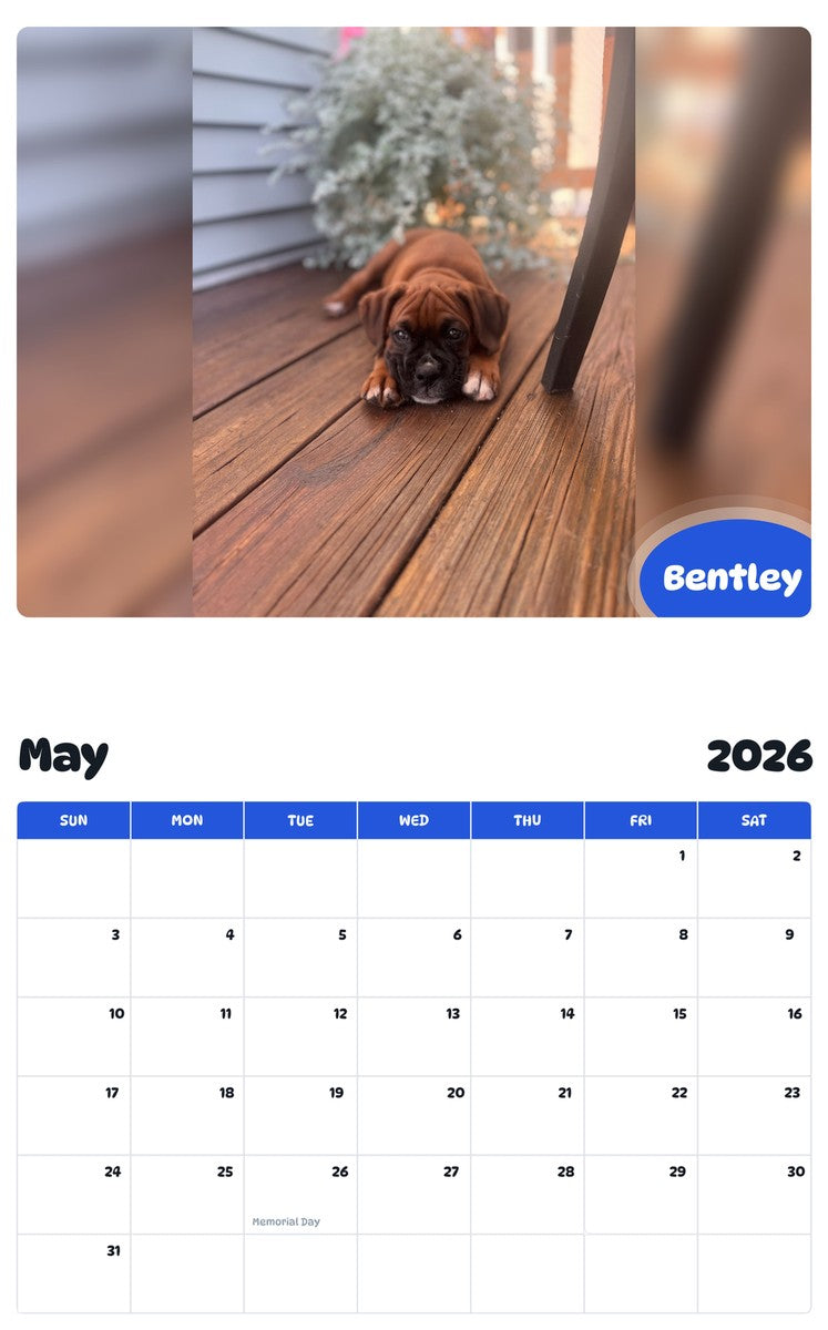 2026 - 2027 Bentley - Pawidols Pet Calendar