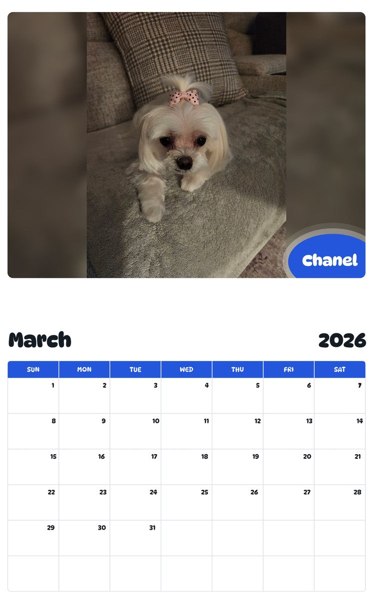 November 2025 - October 2026 Chanel - Pawidols Pet Calendar