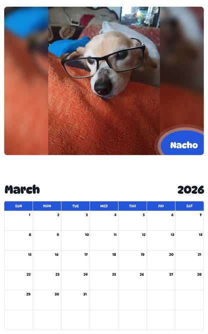 November 2025 - October 2026 Nacho - Pawidols Pet Calendar