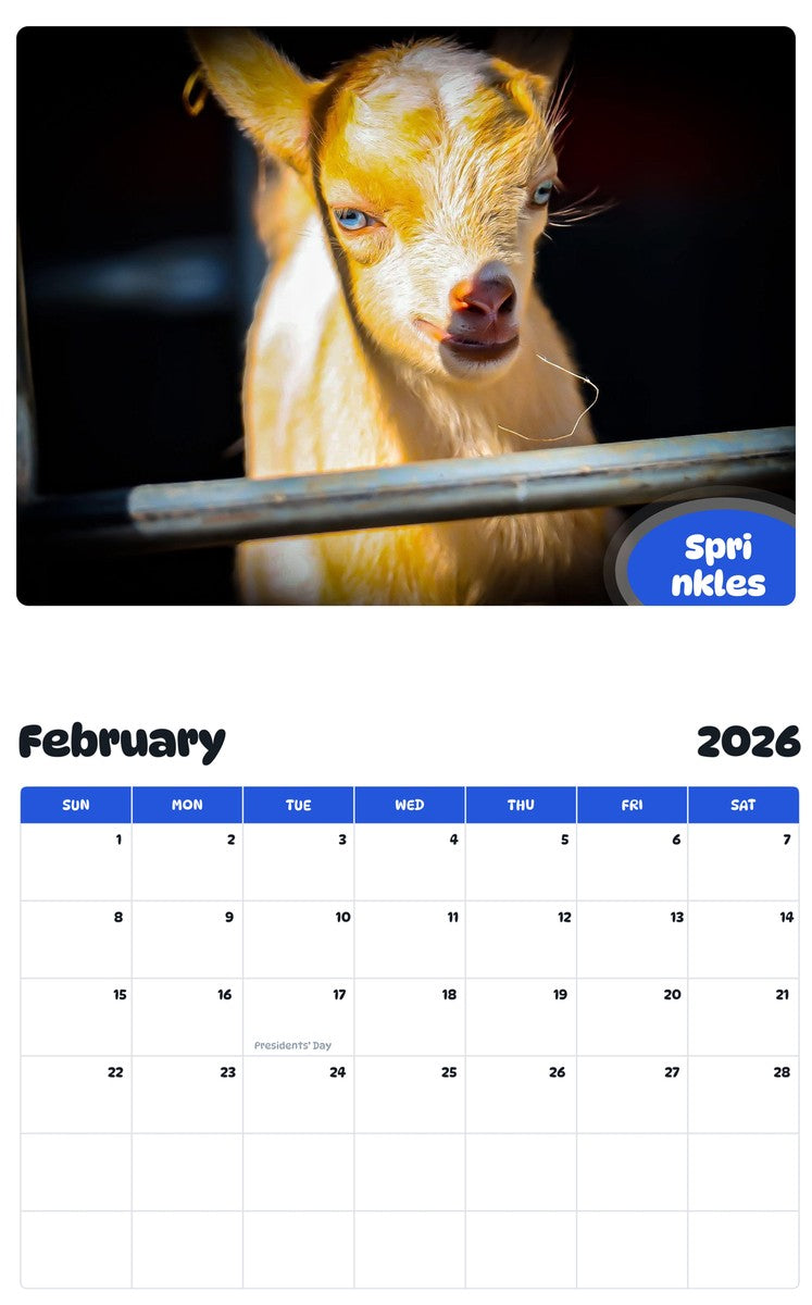 October 2025 - September 2026 Sprinkles - Pawidols Pet Calendar