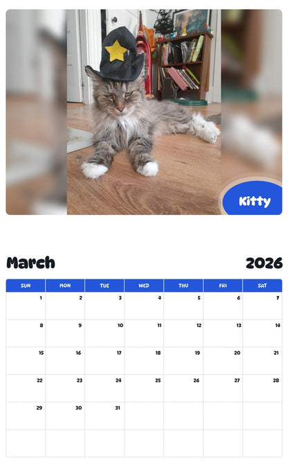 November 2025 - October 2026 Kitty - Pawidols Pet Calendar